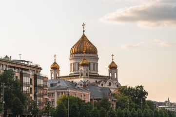 Fototapeta na wymiar Golden domes of the Church of Christ the Savior in Moscow.