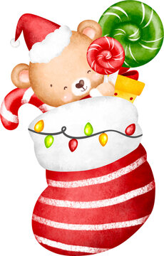 Cute Teddy Bear In Christmas Socks With Ornements