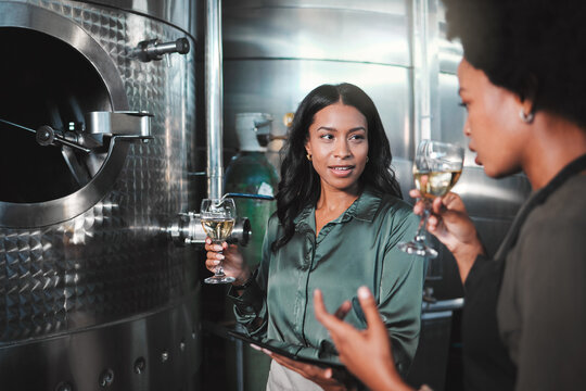 Woman winemaker discuss, planning and tasting wine in a distillery to expand the business. Alcohol management, professional or expert drinking a glass while collaborating for a startup winery cellar