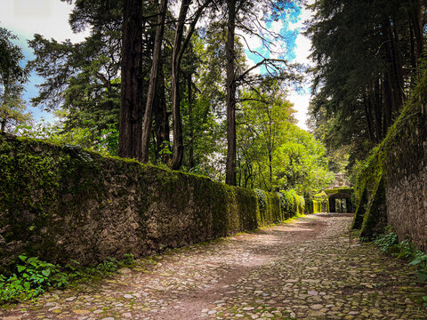 Desierto de los leones Mexico