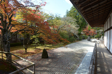 高野山金剛峯寺　阿字観道場と庭園　和歌山県高野町