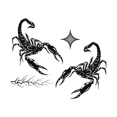 two black scorpions vector illustration