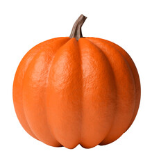 autumn pumpkin isolated
