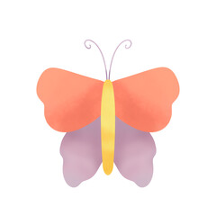 Butterfly Illustration