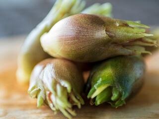 ミョウガのアップ