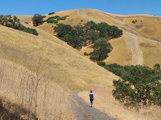 Hiker in the Diablo hills of Northern California