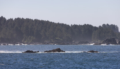 Rugged Rocks on a rocky shore on the West Coast of Pacific Ocean. Summer Morning Sky. Ucluelet, Vancouver Island, British Columbia, Canada. Nature Background