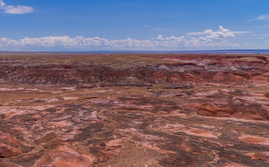 Beautiful panoramic view of the landscapes in the Petrified Forest National Park, Arizona, USA