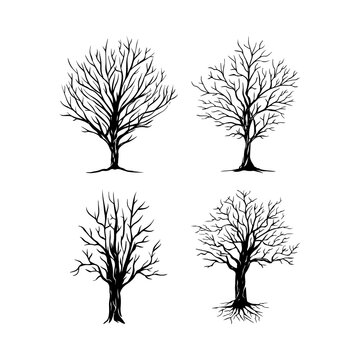 tree with dry branches vector silhouette set