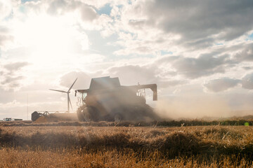 Fototapeta premium Wheat harvesting in the summer season by a modern combine harvester. Farmers securing food supply and feeding the nation