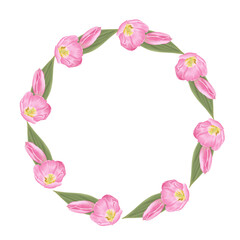 Pink flowers watercolor tulip illustration.