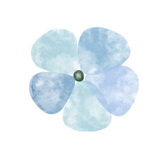 Blue flowers watercolor illustration.