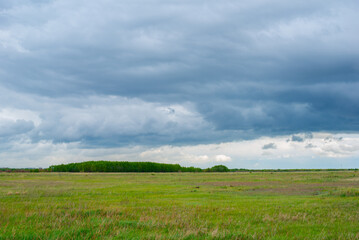 Fototapeta na wymiar picturesque steppe landscape in summer before rain