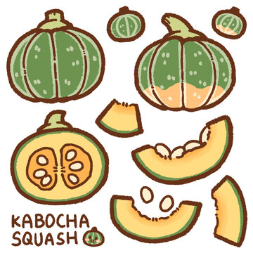 Kabocha Squash Cartoon Drawing Set