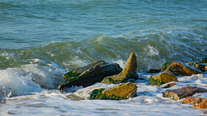 Sea, Sun, Beach, Shells, Beautiful landscape.