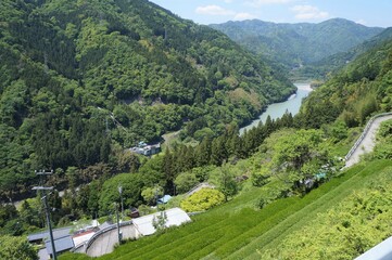 秘境 中井侍の斜面集落と天竜川【長野県天龍村】
