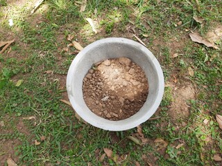 Cement Flowerpot. This pot is ready by filling the soil, now the plant will be planted in it. Gardening work.