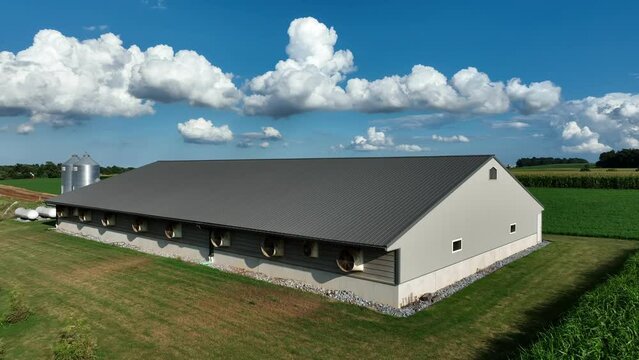 Ag industry theme. Aerial reveal of pig barn in rural countryside in USA. Summer daytime scene.