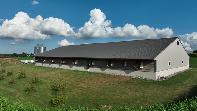 Wide angle shot of new pig barn with exhaust fans, hog-raising facility, grain bins. Summer view. Matching autumn version available.