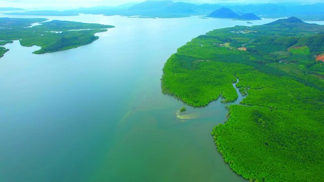 Aerial view from a drone flying over beautiful green mangrove forest with winding river. Phang Nga, Thailand. iconic of tropical scenery. 4K
