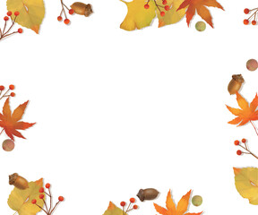 もみじやカエデやどんぐりなどの秋のオシャレな白バックベクターフレーム
