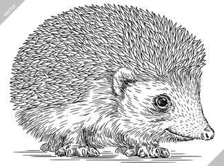 Vintage engrave isolated hedgehog set illustration cut ink sketch. Wild pet background line hedge vector art