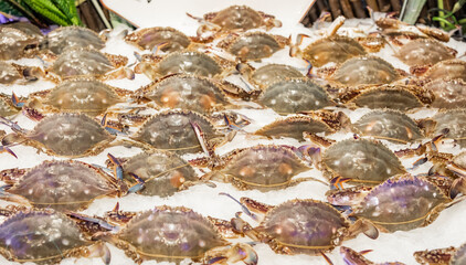 The seafood in the cafeteria