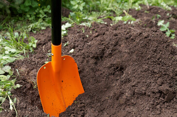 Shovel digging garden bed or farm. Farming, gardening, agriculture and people concept