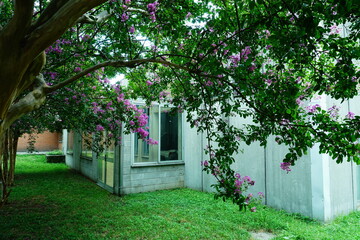 Emergency exit from the rear of an elementary school  in the great Milan