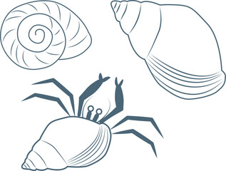 海辺の生き物の線画イラストセット、巻貝、貝殻、ヤドカリ