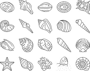 sea shell beach summer ocean icons set vector
