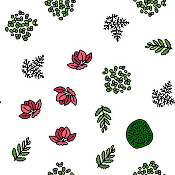 Aquatic Seaweed Natural Plant vector seamless pattern