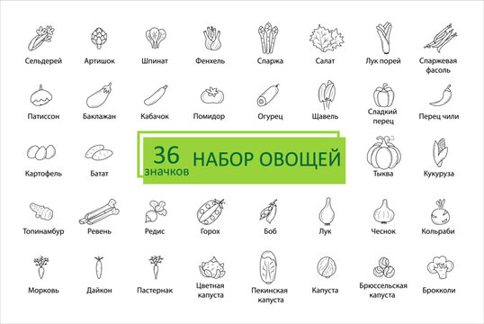 Vegetables icon set. Simple concise images of vegetables with names in Russian. Collection of icons in outlines. Vegetarianism. Eggplant, pumpkin, cabbage, sorrel, artichoke and others. Vector, eps