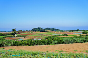 三浦半島・松輪地区の農耕地（夏）（神奈川県三浦市）