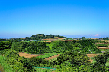 三浦半島・松輪地区の農耕地（夏）【神奈川県三浦市】