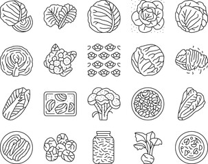 Cabbage Natural Vitamin Food Icons Set Vector