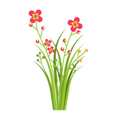 wildflowers and grass.Beautiful bouquets of meadow orange flowers