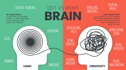 Left Brain vs. Right Brain Dominance infographic template. How the human brain works theory. Creative people right-brained and analytical thinkers left-brained concept.Visual slide presentation vector - obrazy, fototapety, plakaty