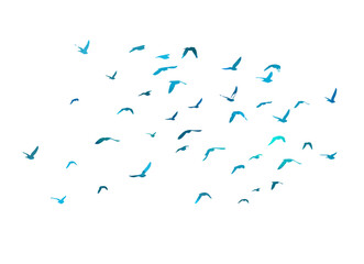 Bird watercolor. A flock of blue birds. Mixed media. Vector illustration
