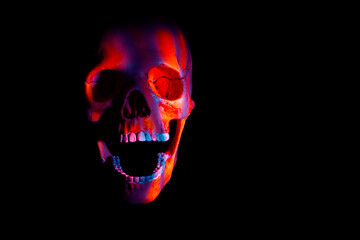 Model of a human skull illuminated with red and blue stripes of light