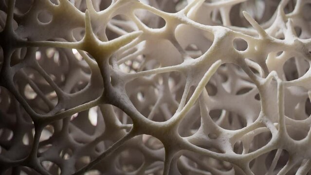 Growth of human bone tissue, 3d animation.