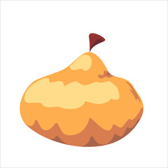 design of the pumpkin fruit and vegetables flat icon vector illustration