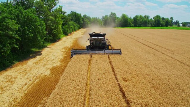 Reverse tracking drone shot in front of combine harvesting wheat field in rural Ohio