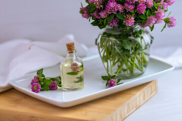 pink Clover oil Flower Blossom white background tincture infusion traditional medicine aromatherapy Small bottle Trifolium pratense text space cosmetics concept.