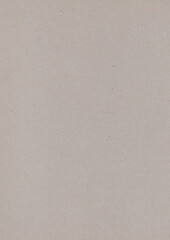 texture of cardboard