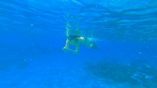 Woman in fins swimming on the surface of the sea - slow motion. Female snorkeler swims underwater and looking on underwater world