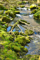 Obraz na płótnie Canvas Torrent de montagne bordé de rochers recouverts de mousse verte Mountain torrent lined with rocks covered in green moss