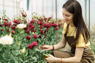 Young florist in apron working in greenhouse. Cheerful woman working with flowers, inspecting them for sale.