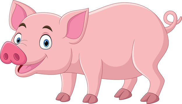 Cartoon funny pig on white background