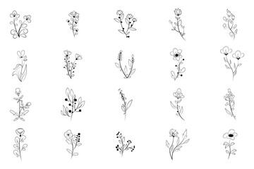 flower line hand drawn set 